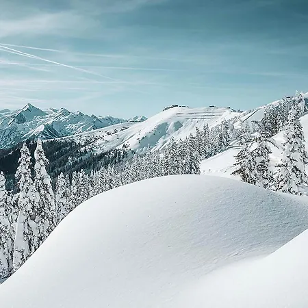 New! Tevini Alpine By We Rent Apartment Zell am See